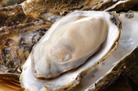 かき（広島産）