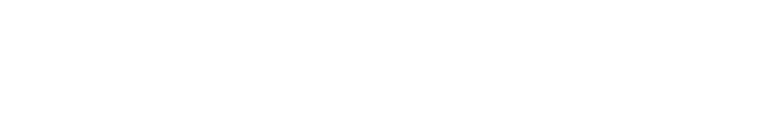 Tokyo Maruichi Shoji Co., Ltd.